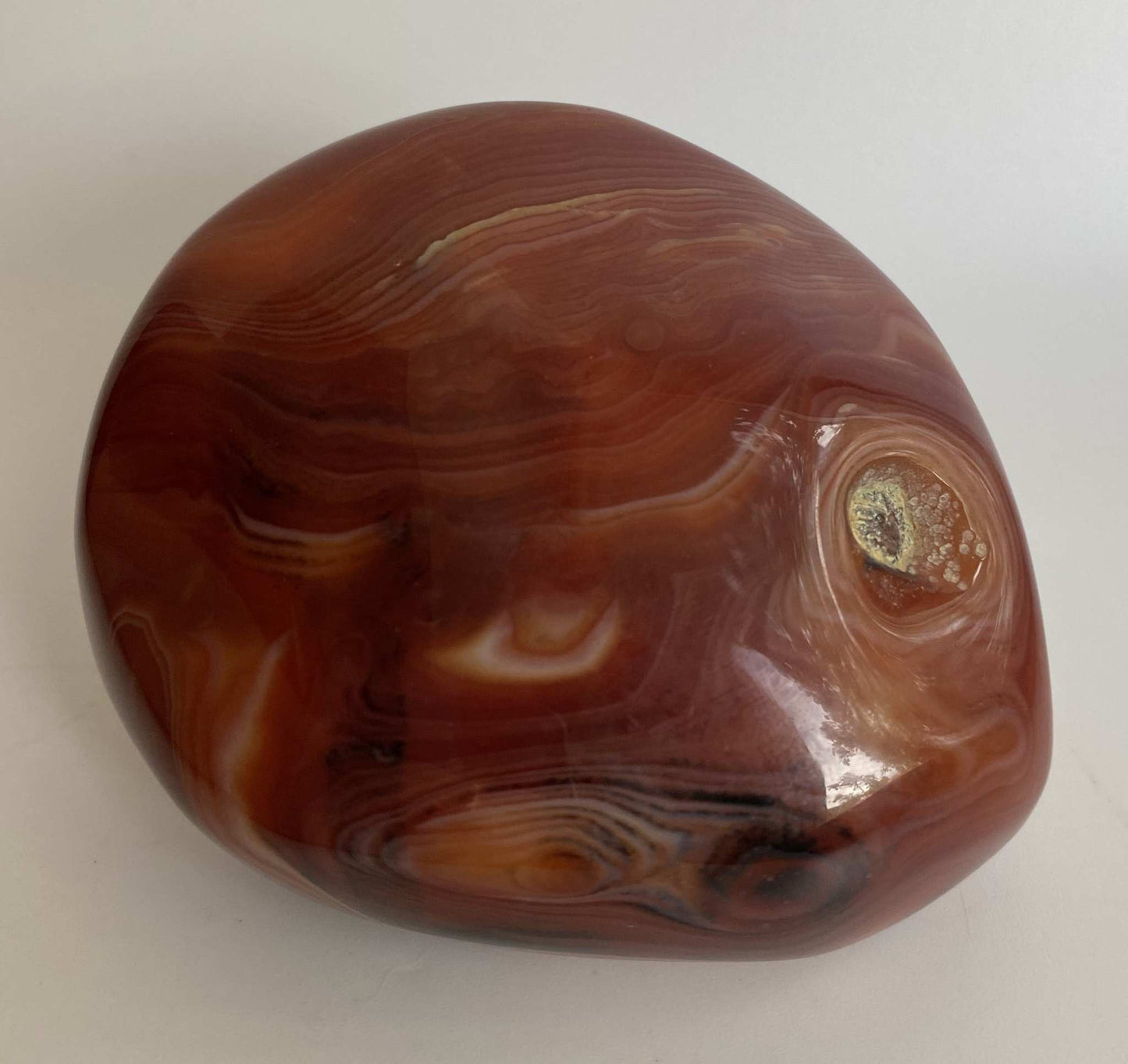 Polished Agat Sardonyx stone with brown and red tones and natural banding patterns