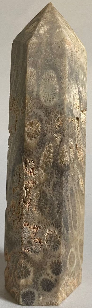 Obelisc unicat de 9.4cm din piatra semipretioasa de coral fosilizat pe fundal alb