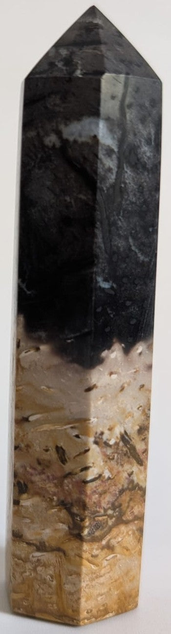 Obelisc de 10.7cm din piatra semipretioasa de lemn pietrificat din palmier pe fundal alb