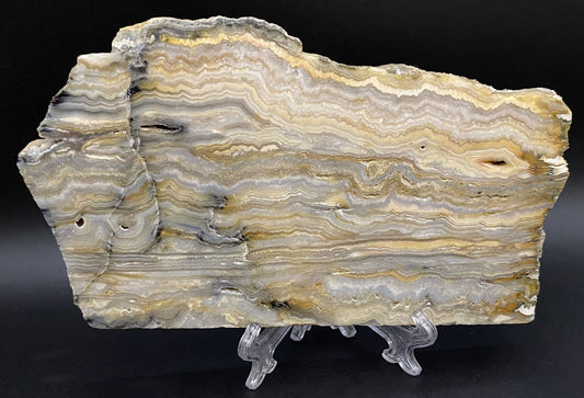 Felie din piatra semipretioasa din agat crazy lace cu fundal negru