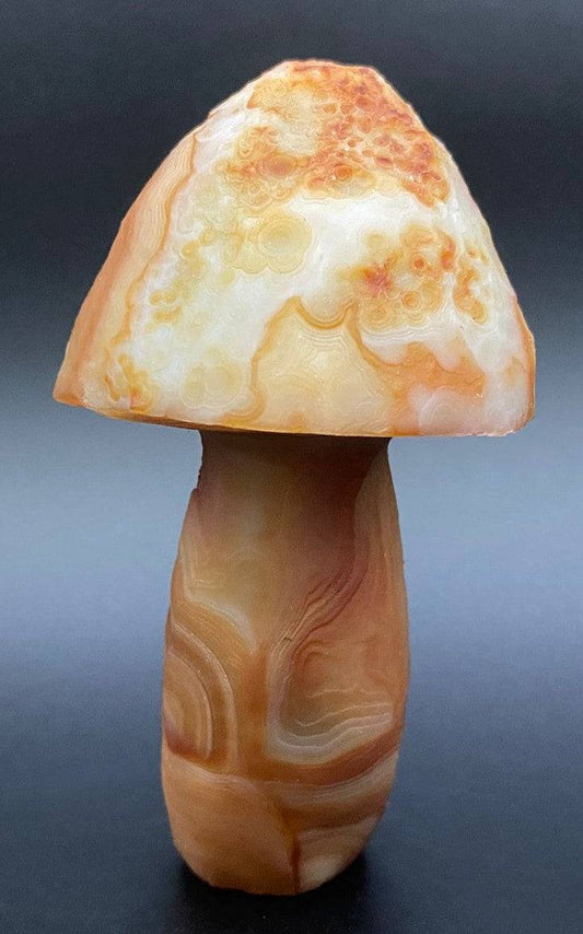 Specimen Agat Gobi forma ciuperca 8.2 cm piatra semipretioasa naturala