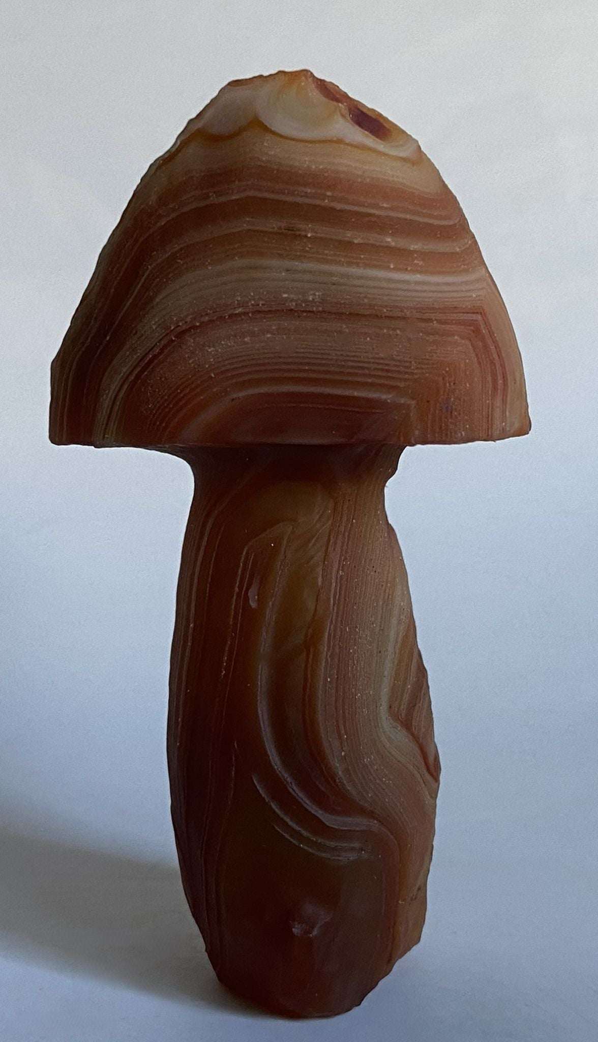 Agat Gobi formă ciupercă 8.2cm piatră semiprețioasă naturală