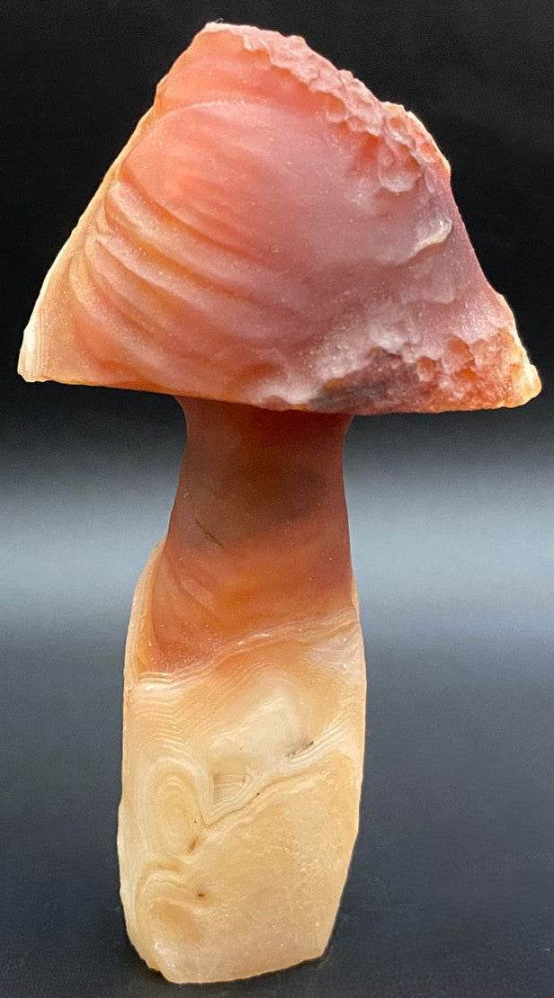 Agat Gobi forma ciuperca decoratiune piatra semipretioasa 7.9cm