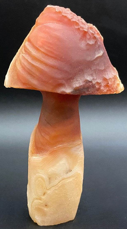 Agat Gobi forma ciuperca decoratiune piatra semipretioasa 7.9cm