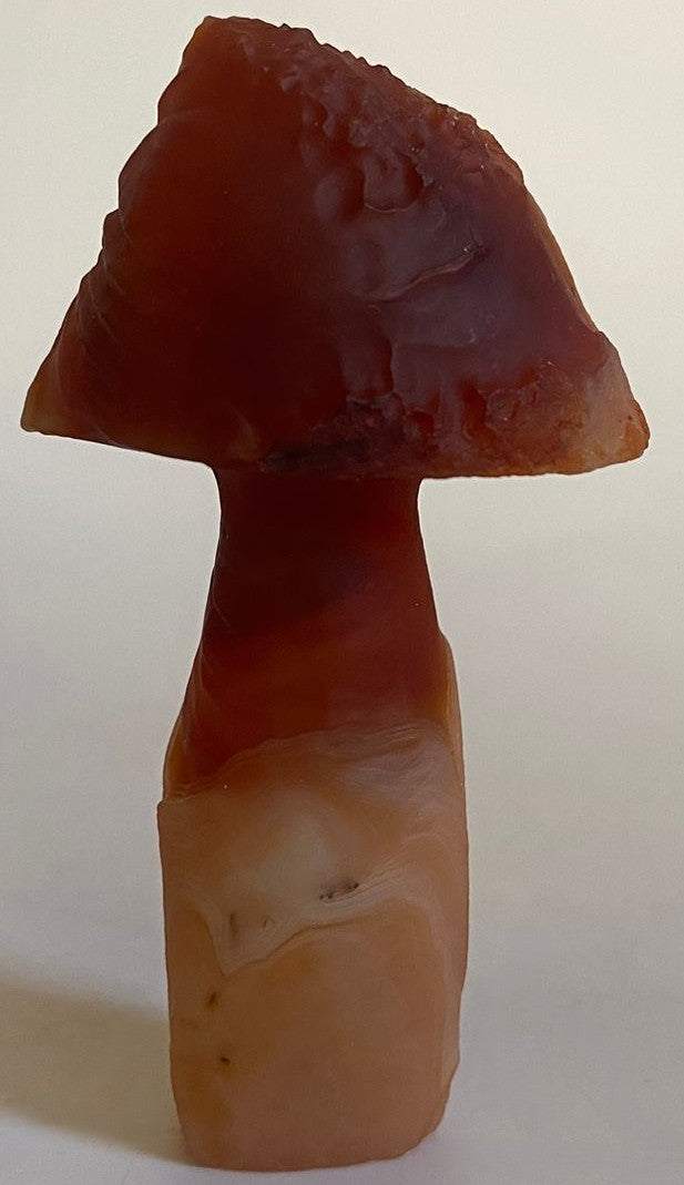 Agat Gobi decoratiune ciuperca piatra semipretioasa 7.9cm