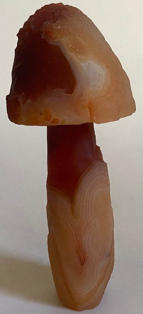 Agat Gobi ciuperca decorativa 7.9cm piatra semipretioasa