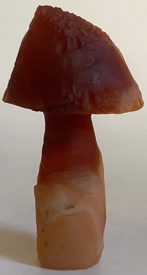 Agat Gobi forma ciuperca decoratiune piatra semipretioasa 7.9cm