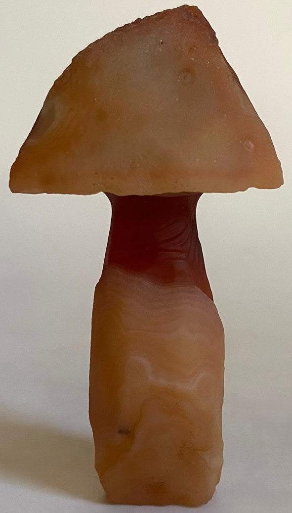 Agat Gobi decoratiune ciuperca 7.9cm din piatra semipretioasa