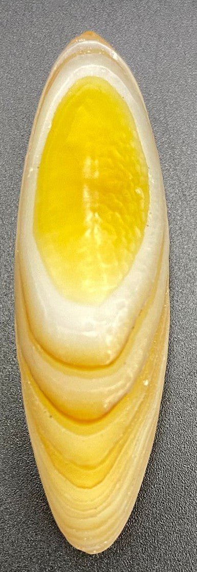 Specimen de piatra semipretioasa din agat gobi pe fundal negru