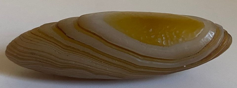 Specimen de 5.2cm de cristal din agat gobi pe fundal alb