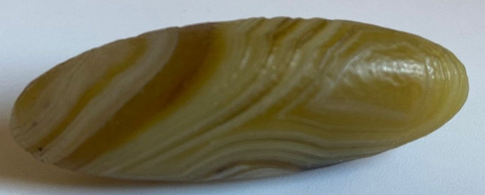 Agat Gobi - Specimen 4.5cm - Pietre Semipretioase Naturale