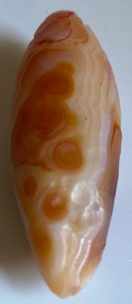Specimen Agat Gobi 5.5cm minerale naturale pentru colectie