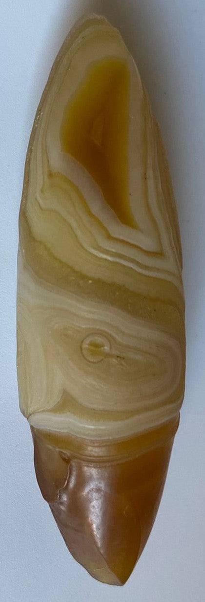 Specimen de 6.6cm din cristal de agat gobi pe fundal alb