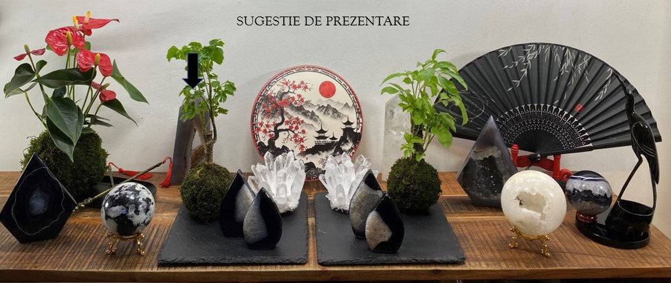 Agat Natural obelisk with geode crystal displayed on wooden table with decorative plants and ornaments
