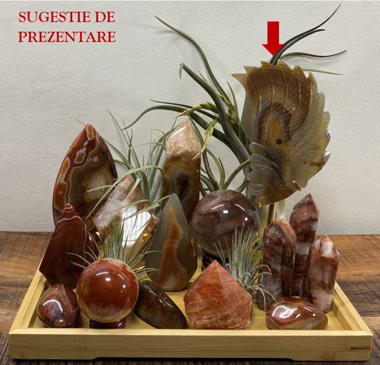 Sculptura indiană din Agat Natural cu geodă pe suport metalic, piatră semiprețioasă decorativă