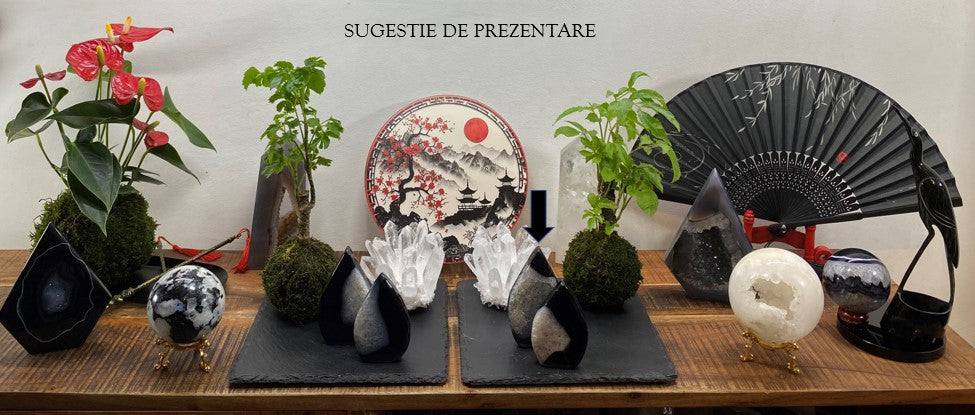 Set decor cristale sculpturi din agat negru cu plante si obiecte decorative pe masa lemn