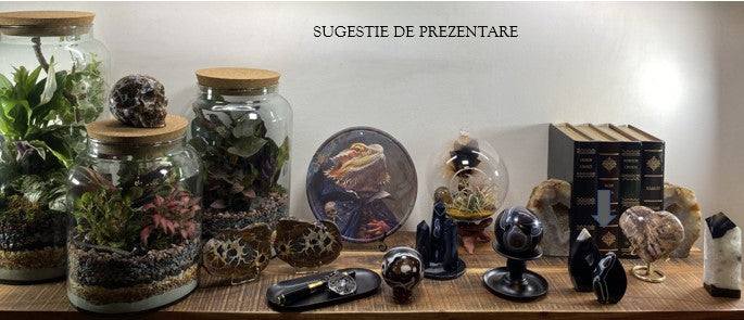 Set sculpturi Agat Negru din pietre semipretioase prezentat pe raft cu plante si carti.