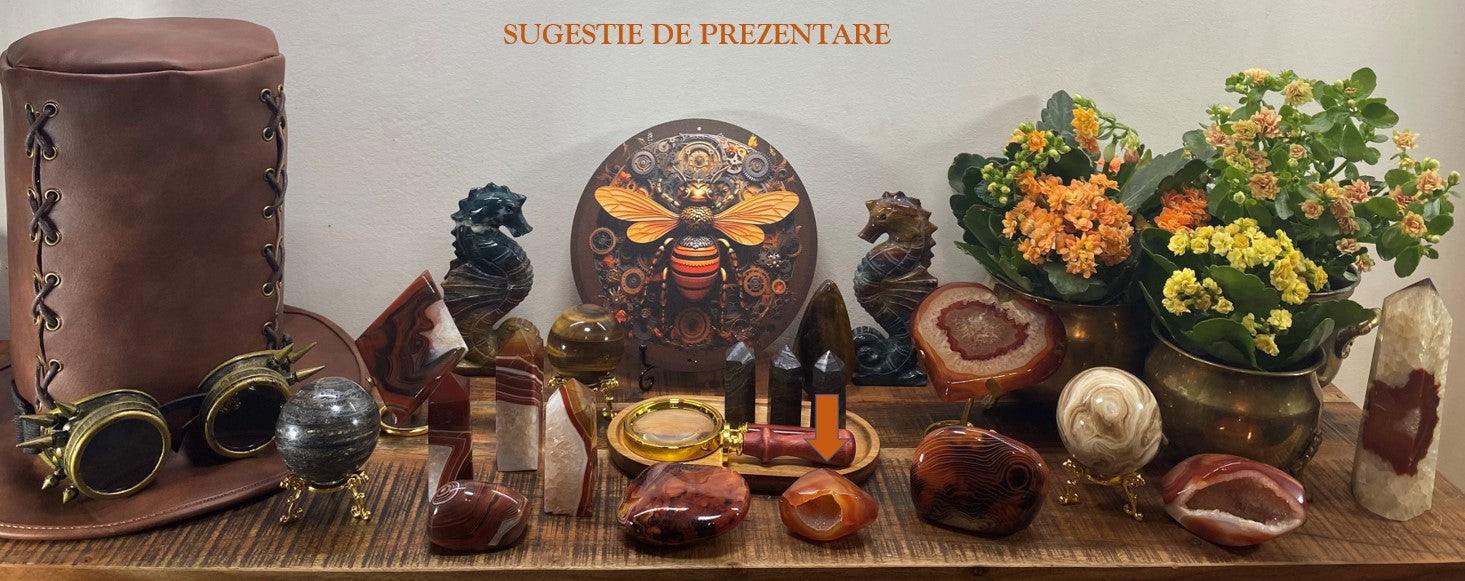 Geoda din Agat Rosu displayed with various crystals, steampunk hat, goggles, magnifying glass, and flower pots.