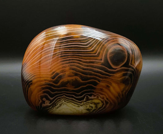 Polished Agat Sardonyx stone with brown and black striped patterns on a black background