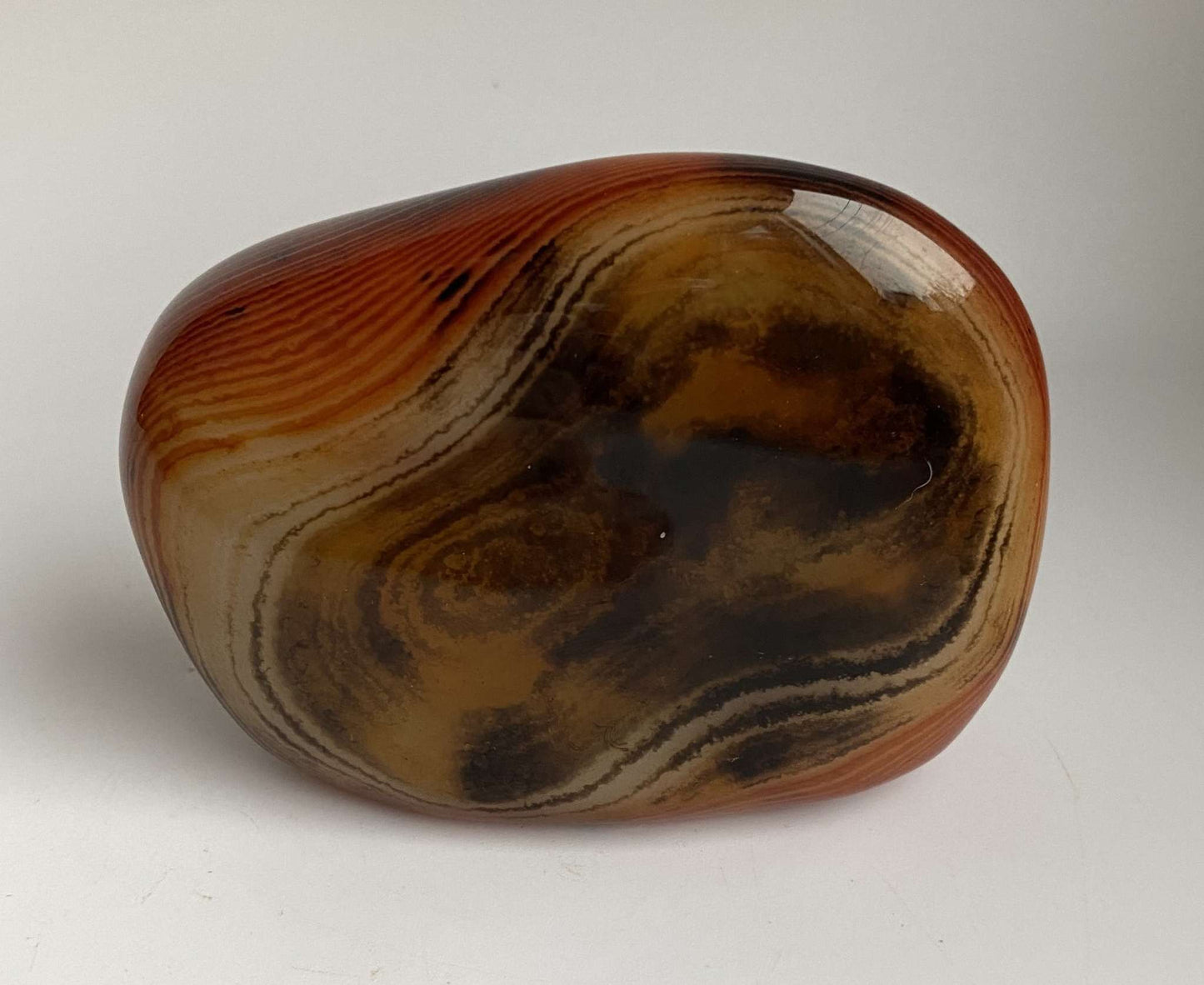 Polished Agat Sardonyx stone with natural brown and black patterns on a white background