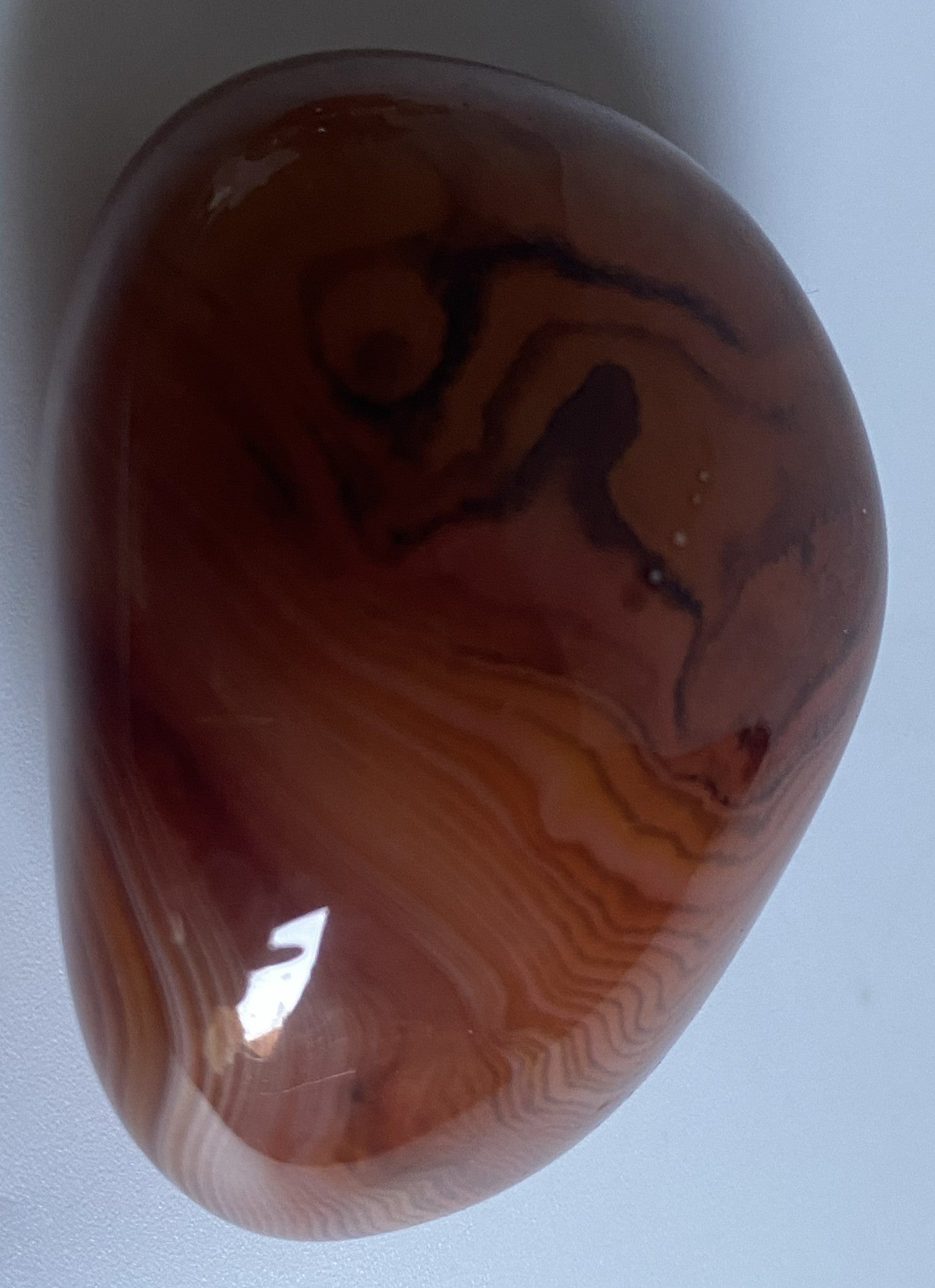 Piatra polisata din cristal de agat sardonyx pe fundal alb