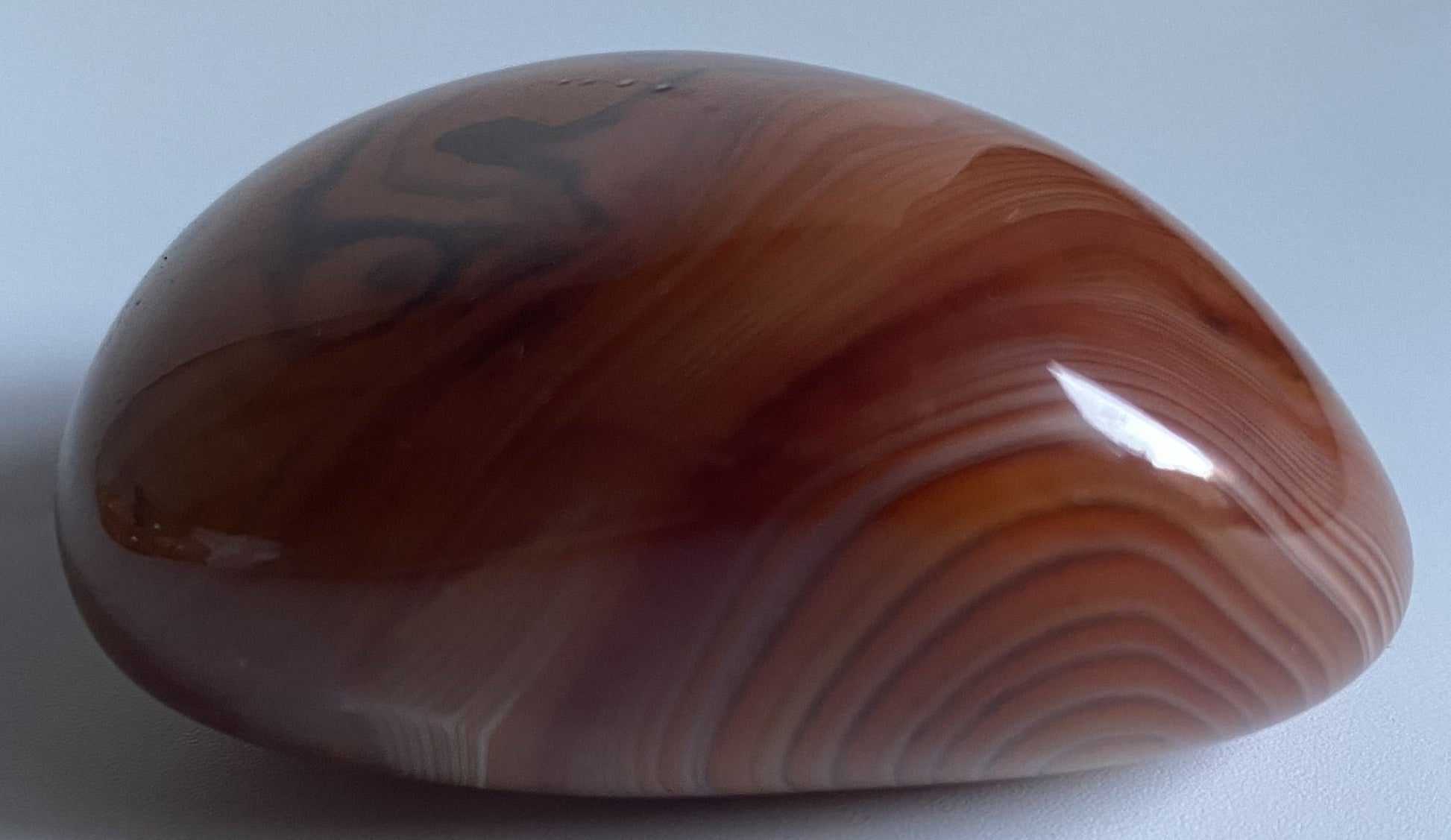 Piatra polisata de 5.5cm din piatra semipretioasa de agat sardonyx pe fundal alb