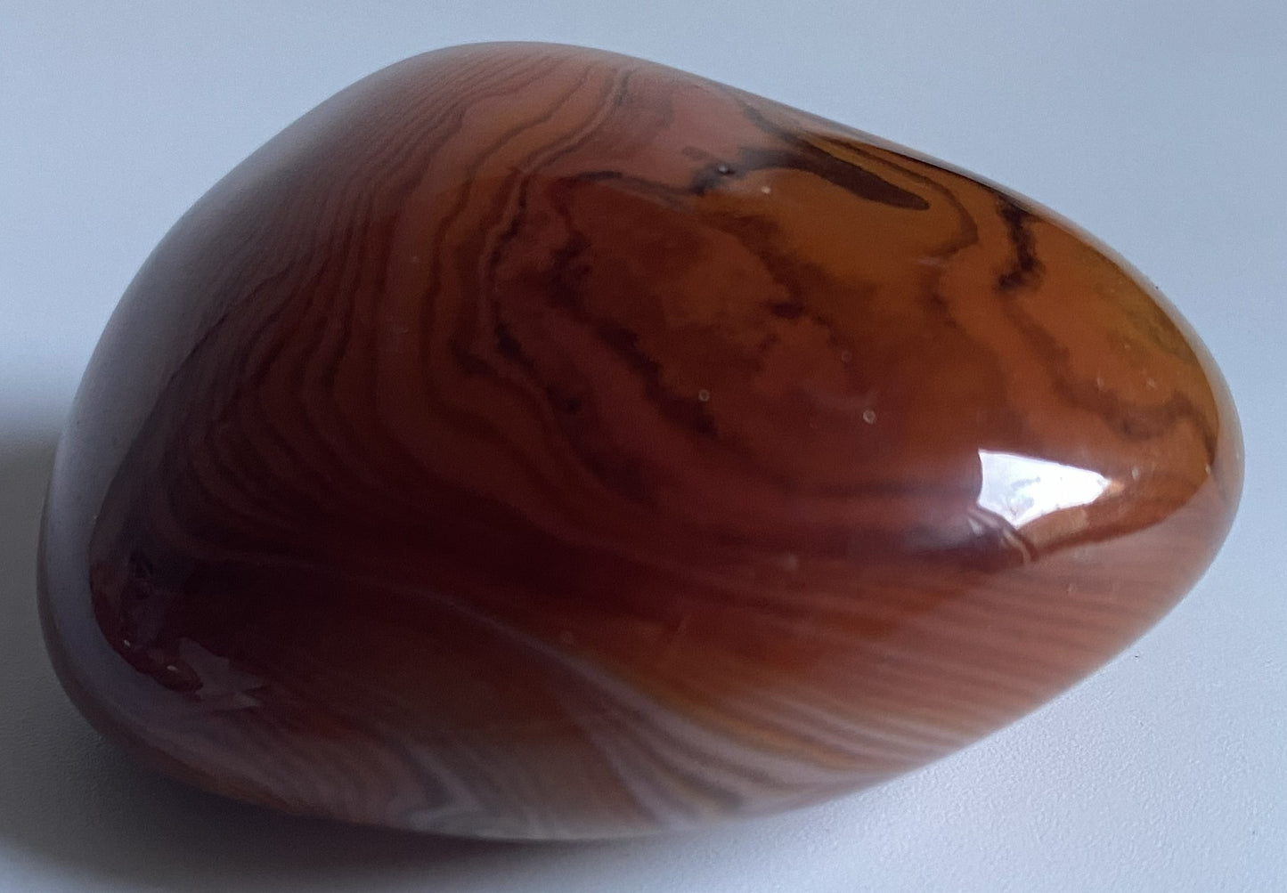 Piatra polisata de 5.5cm din cristal de agat sardonyx pe fundal alb
