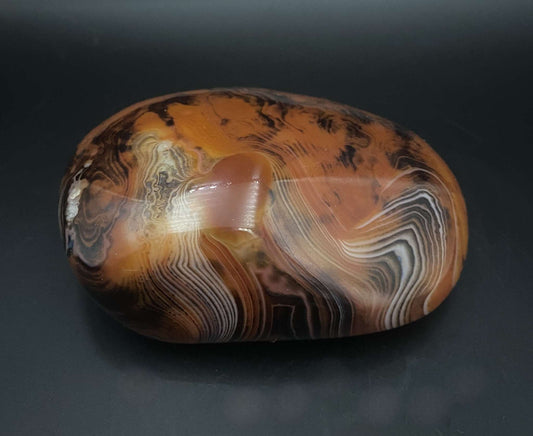 Polished Agat Sardonyx stone with natural brown and black banding patterns on black background
