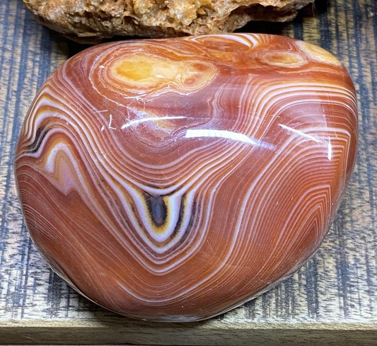 Polished Agat Sardonyx stone with brown and white layered patterns