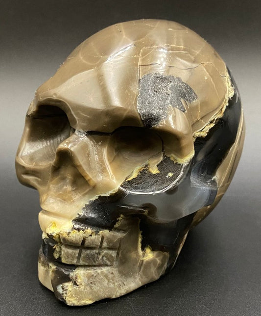 Craniu din piatra semipretioasa de agat vulcanic pe fundal negru