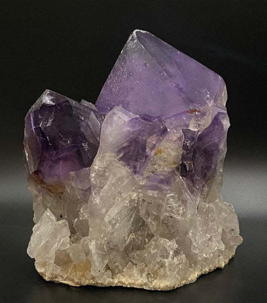 Cluster natural de Ametist Congo violet de 10 cm pe fundal negru