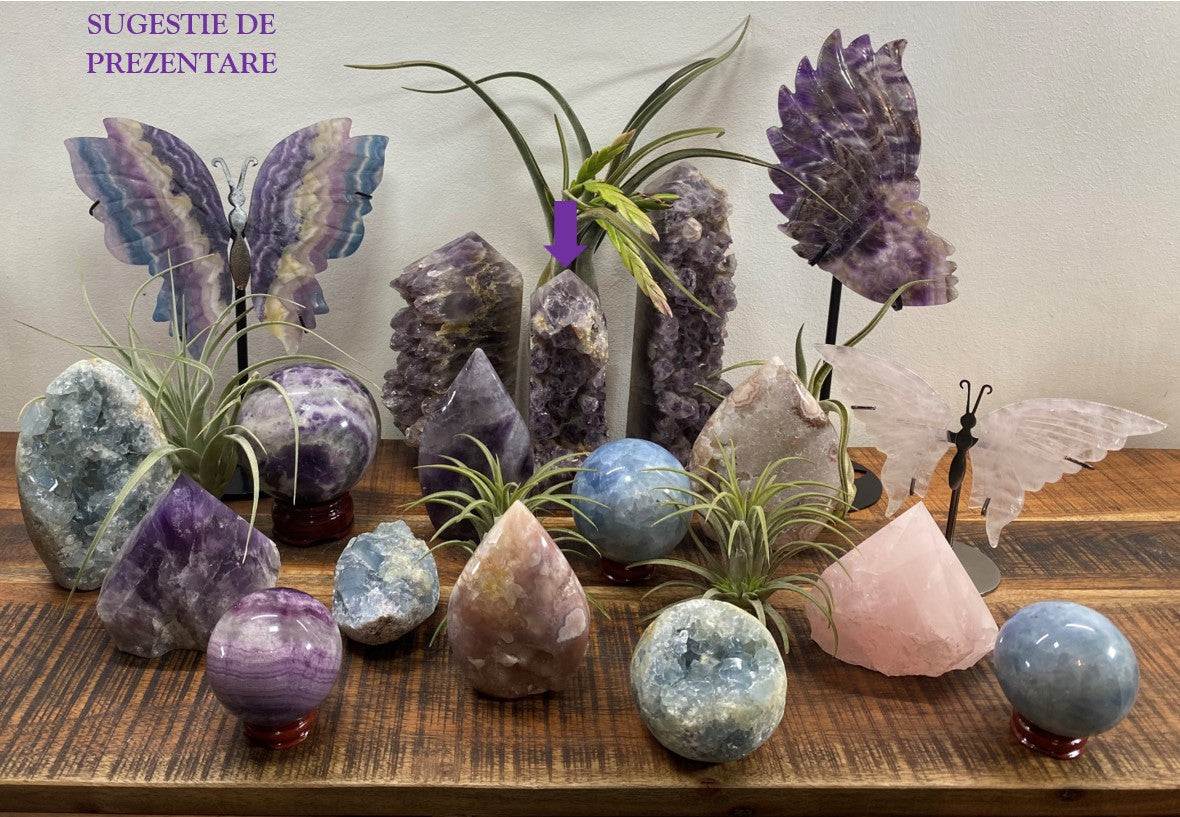 Obelisc din geoda ametist pe suport din lemn decorativ cu plante aeriene și cristale colorate