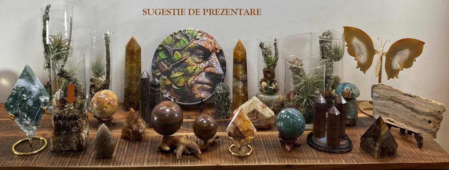 Specimen piatra semipretioasa Calcit Ambra expus pe suport din lemn cu alte cristale si decoratiuni naturale