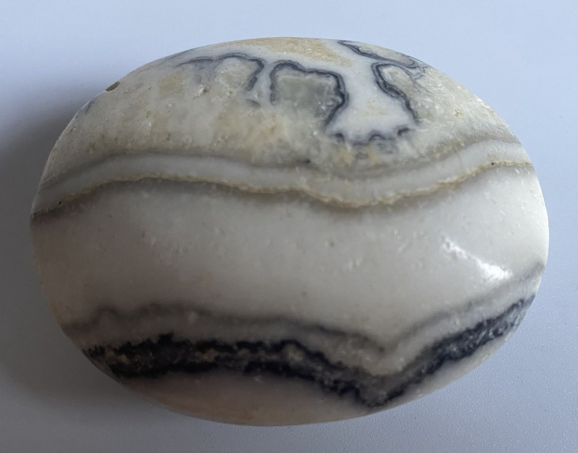 Palm Stone din piatra semipretioasa de calcit dendritic pe fundal alb