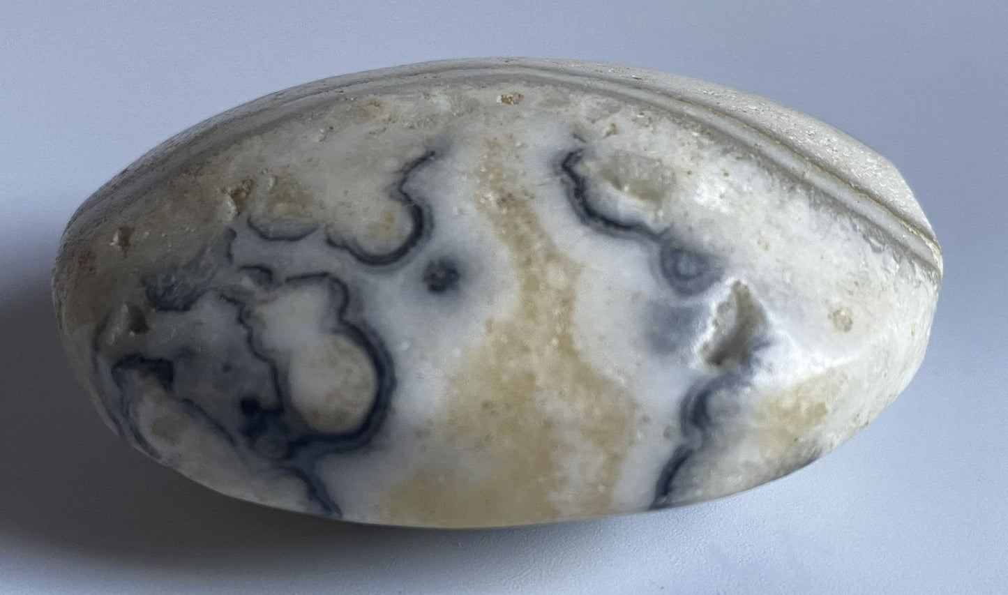 Palm Stone de 5.9cm din piatra semipretioasa de calcit dendritic pe fundal alb