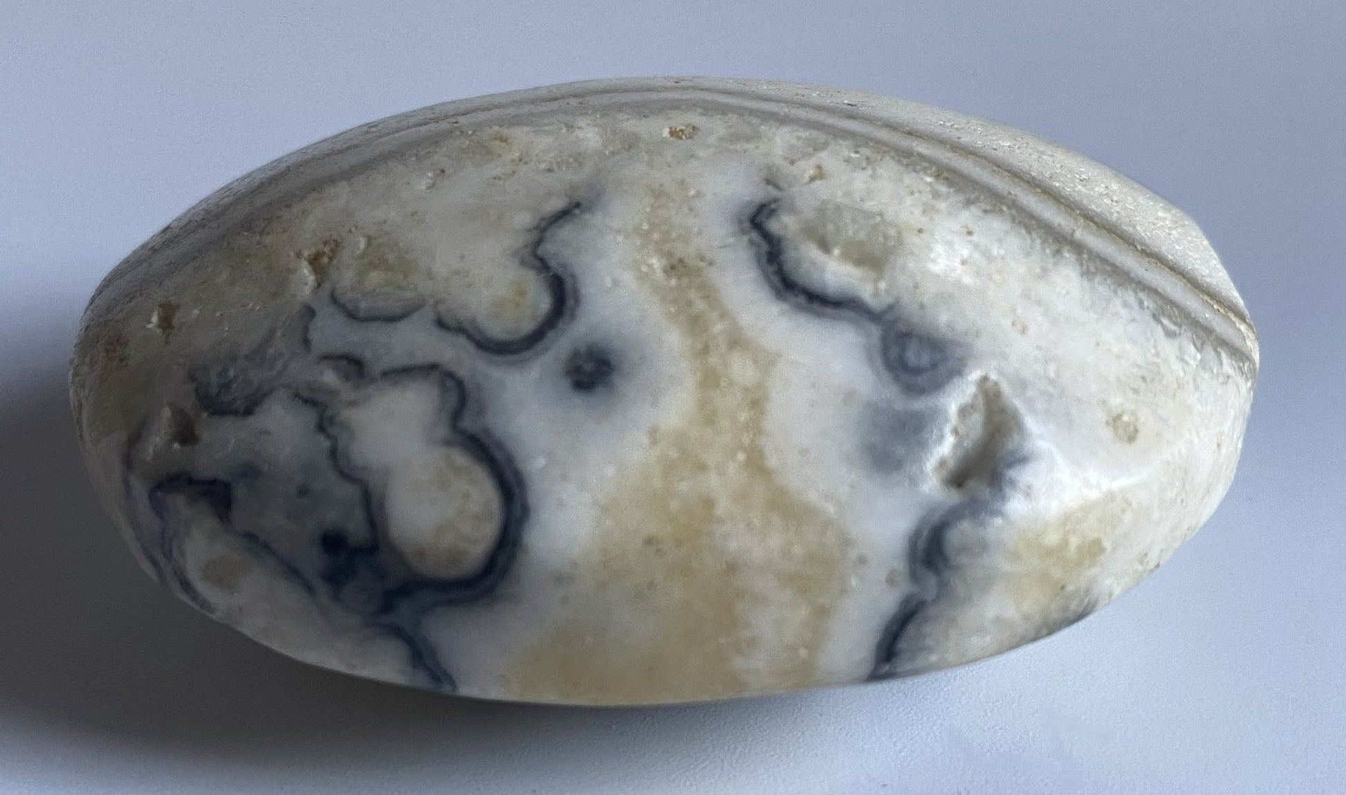 Palm Stone de 5.9cm din piatra semipretioasa de calcit dendritic pe fundal alb