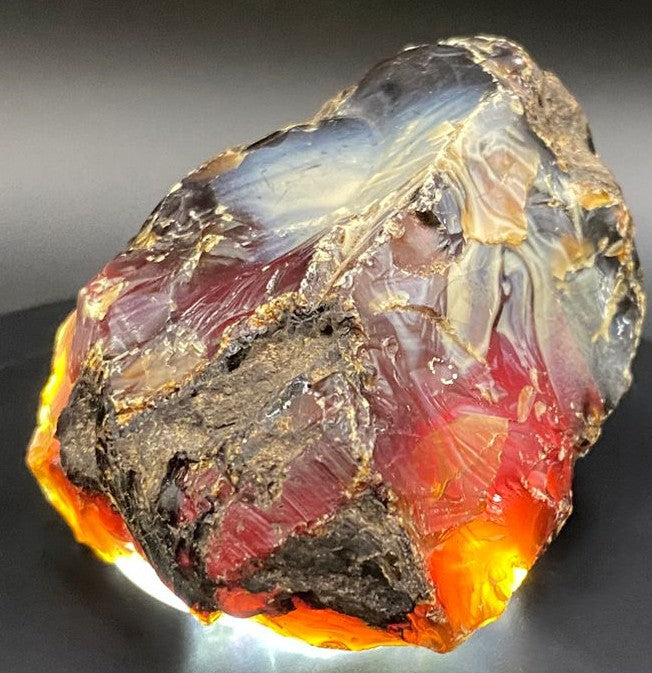 Specimen brut de 6.1cm din piatra semipretioasa de chihlimbar pe lumina led