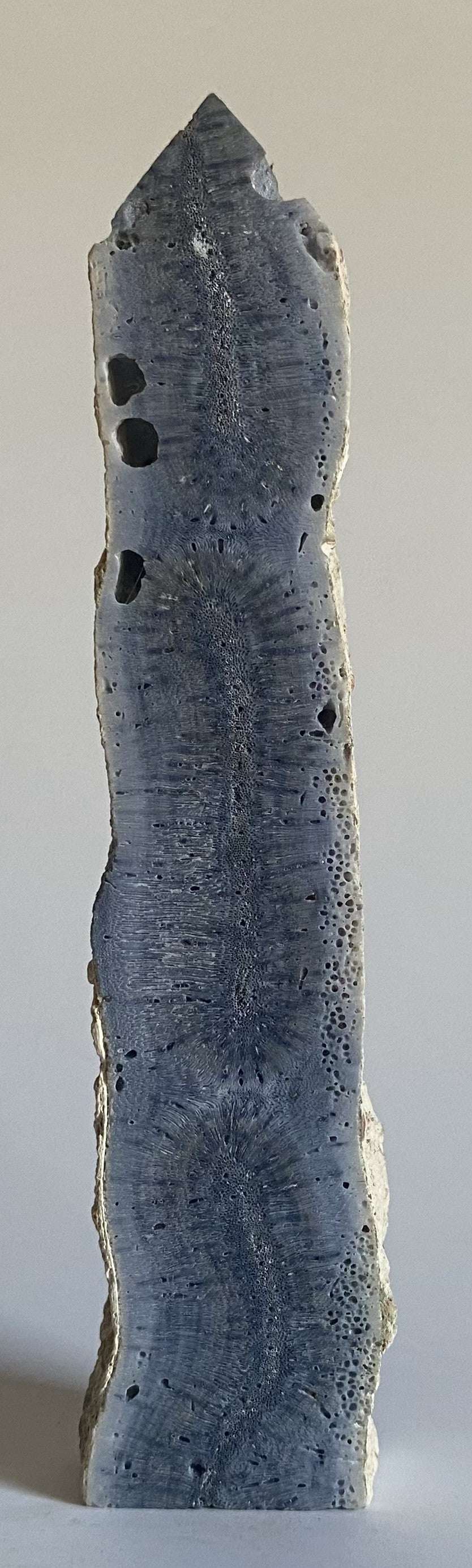 Obelisc din Coral Albastru natural de 14.7 cm cu textură semiprețioasă