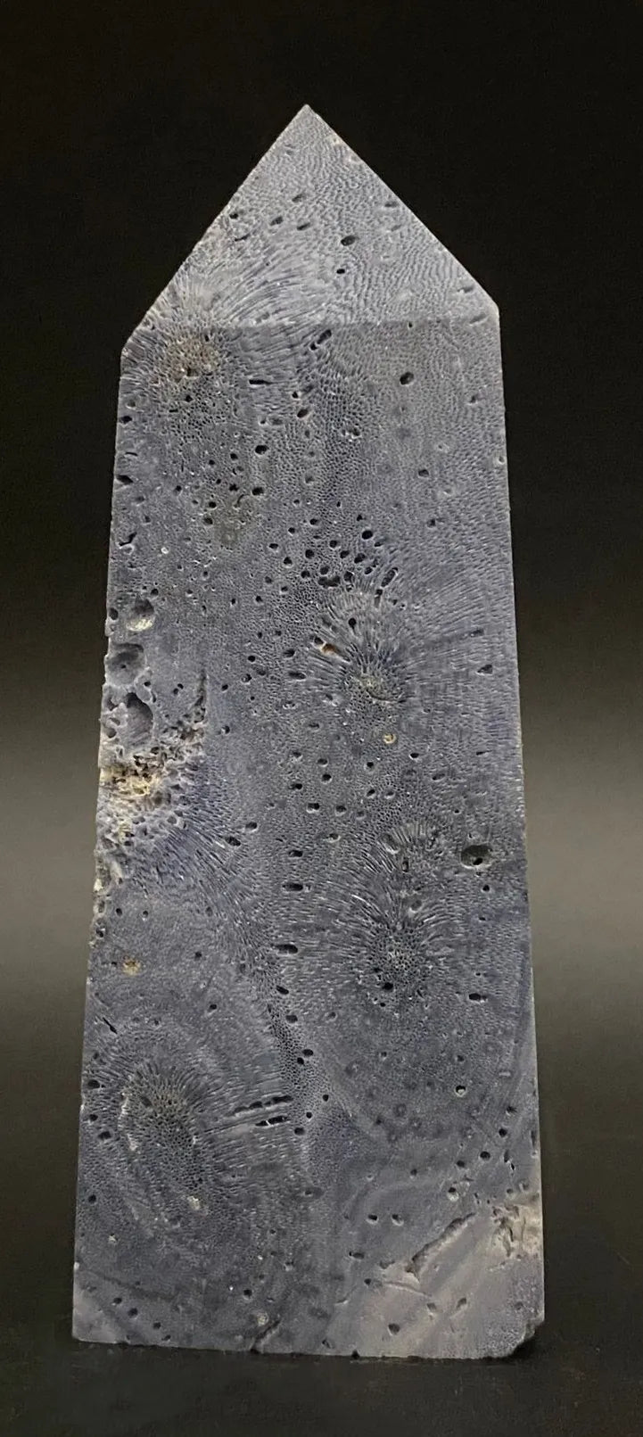 Obelisc din coral albastru natural pe fundal negru