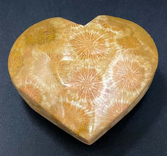 Inima din piatra semipretioasa de coral fosilizat pe fundal negru