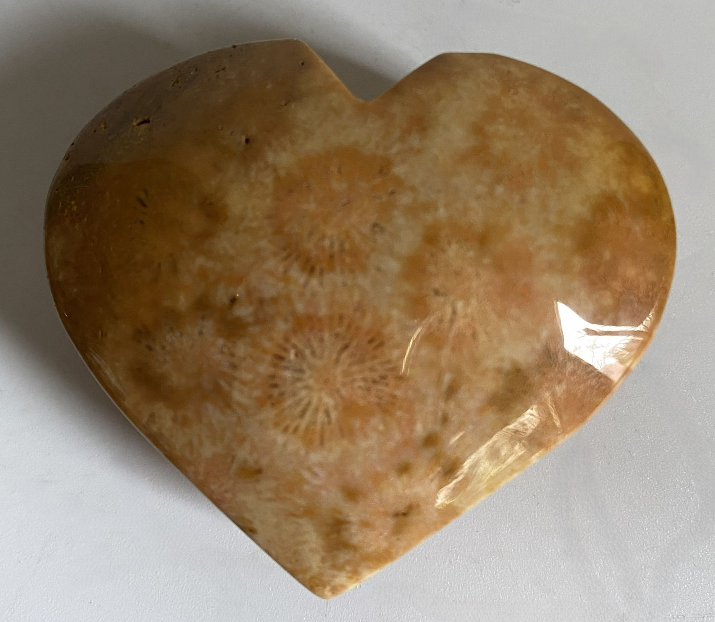 Coral Fosilizat - Inima 5.1cm - Pietre Semipretioase Naturale