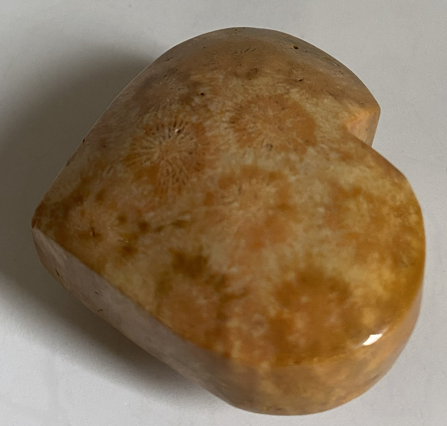 Coral Fosilizat - Inima 5.1cm - Pietre Semipretioase Naturale