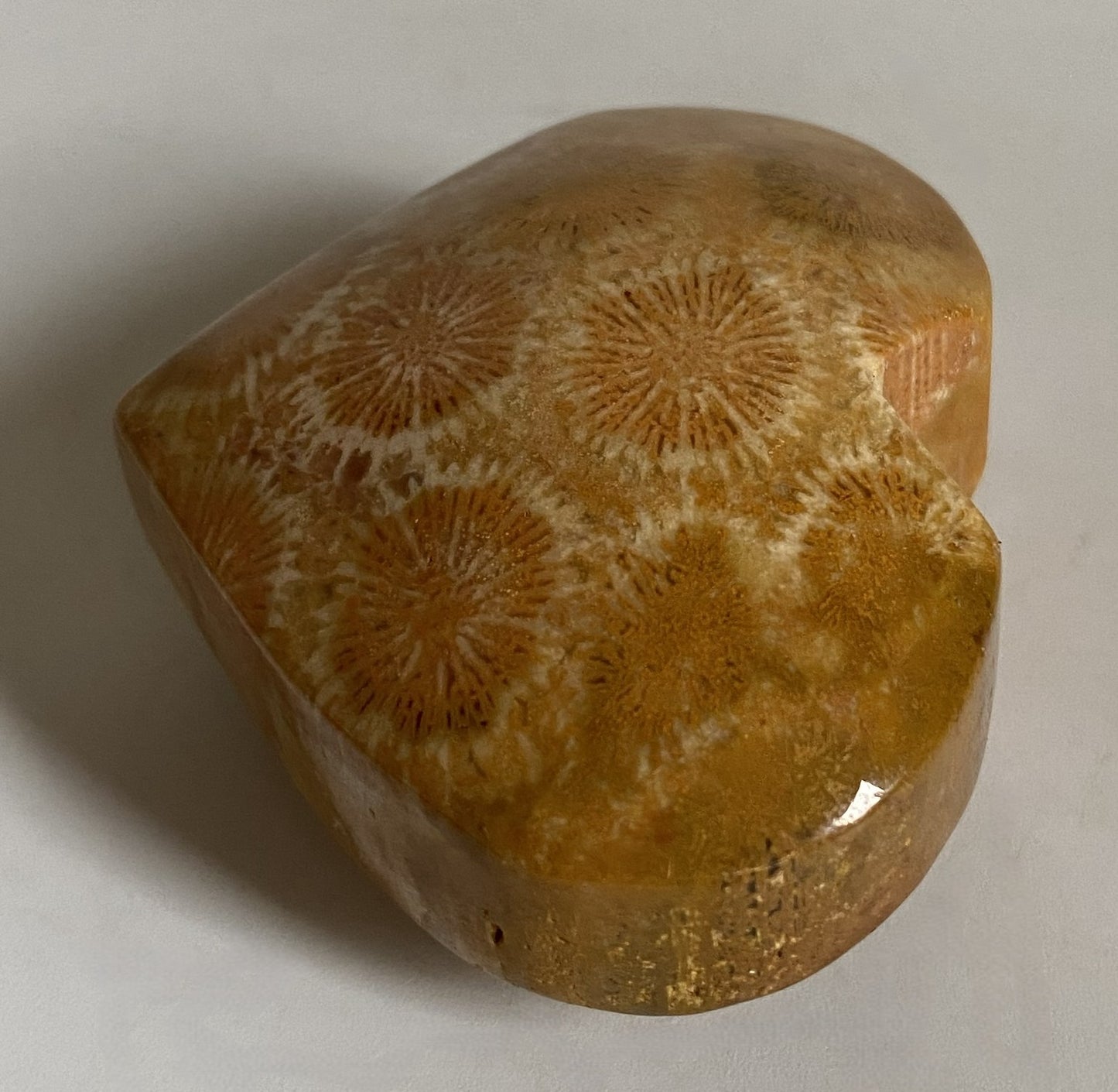 Inima din cristal de coral fosilizat pe fundal alb