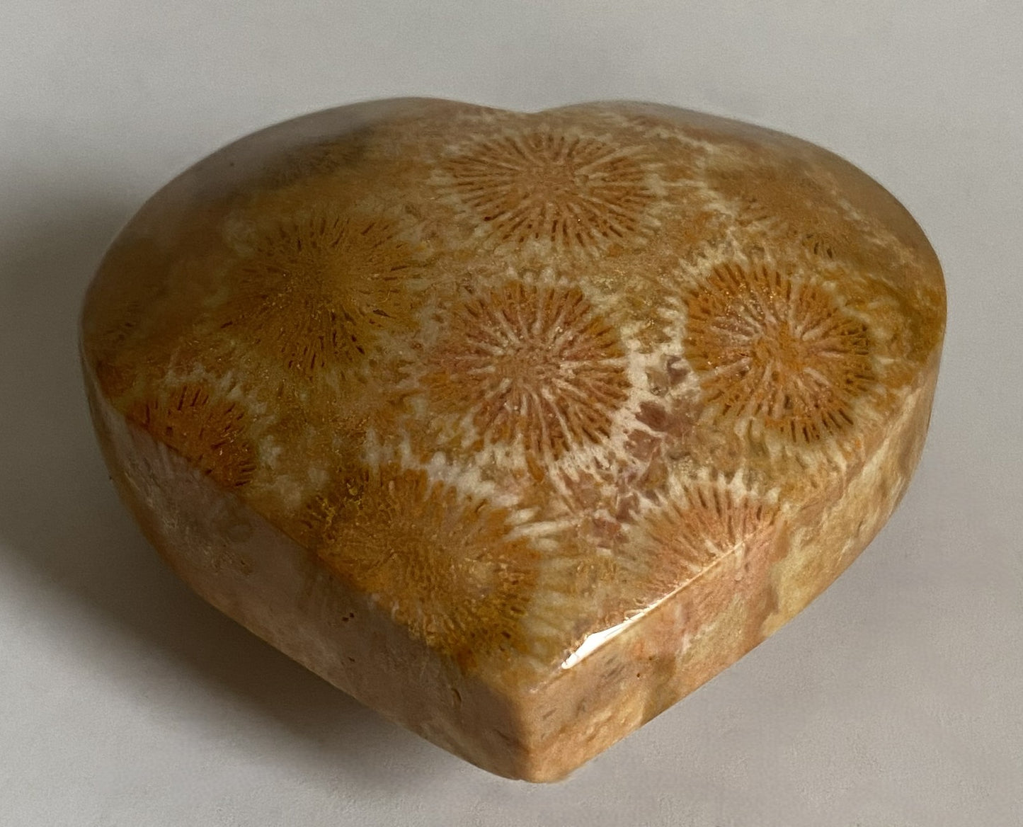 Inima de 5.1cm din cristal de coral fosilizat pe fundal alb