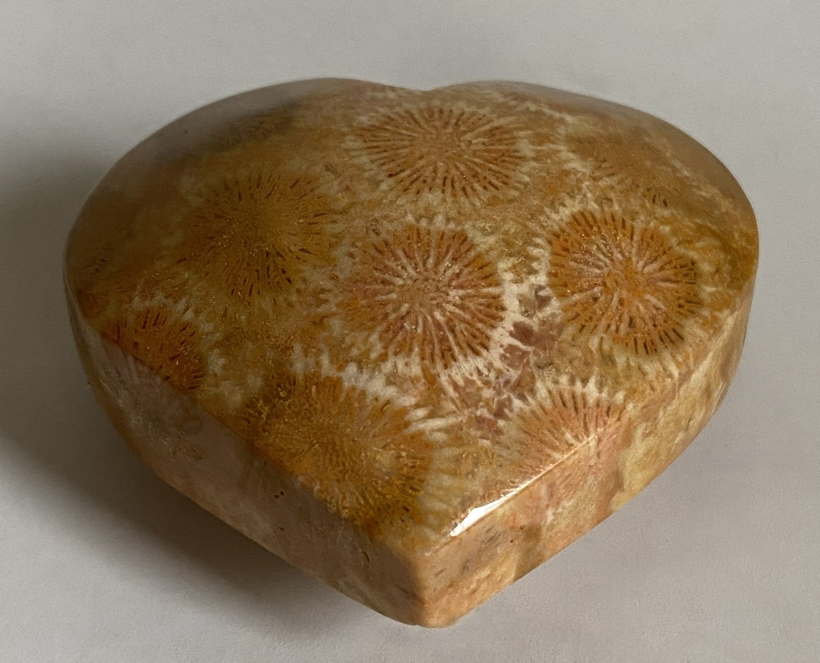 Inima de 5.1cm din cristal de coral fosilizat pe fundal alb