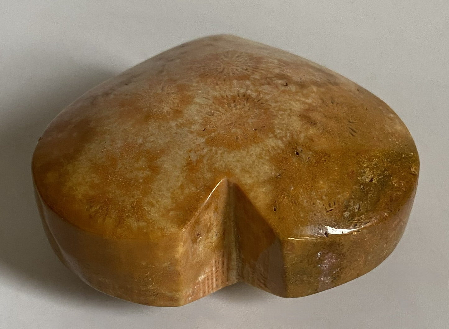 Coral Fosilizat - Inima 5.1cm - Pietre Semipretioase Naturale