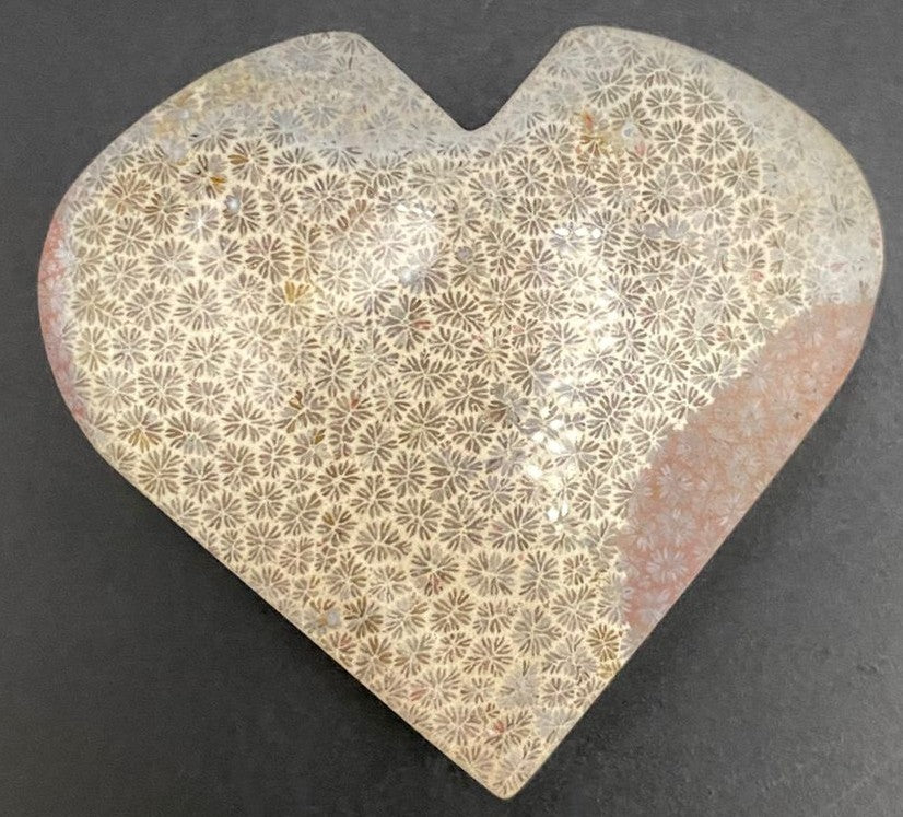 Inima din piatra semipretioasa de coral fosilizat cu fundal negru