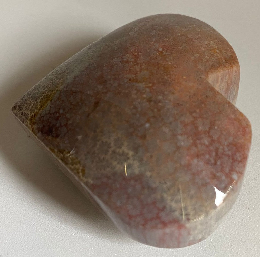 Inima de 5.3cm din cristal de coral fosilizat cu fundal alb