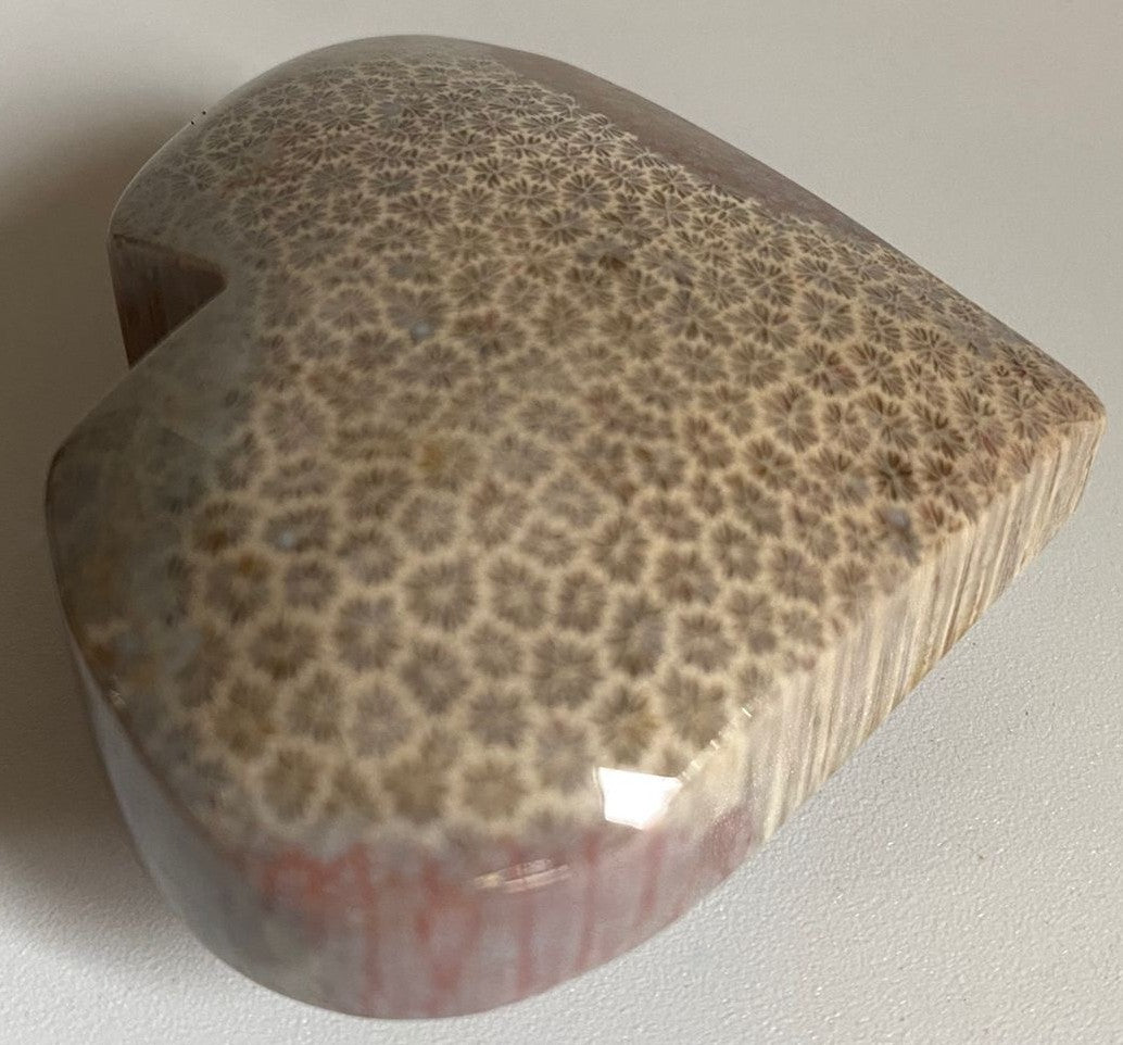 Inima unicat de 5.3cm din piatra semipretioasa de coral fosilizat cu fundal alb