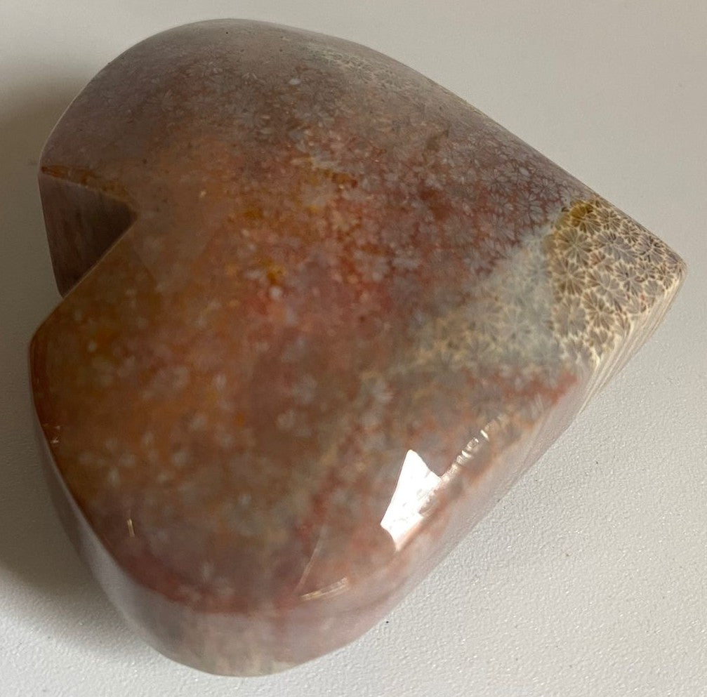 Coral Fosilizat - Inima 5.3cm - Pietre Semipretioase Naturale